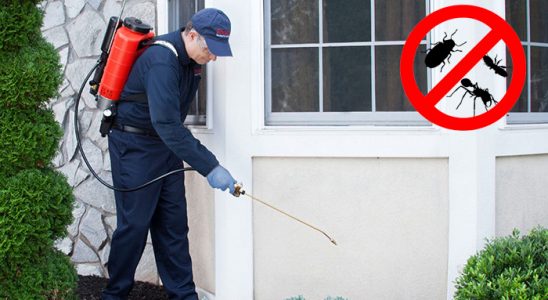 Çamdibi Böcek ve Haşere İlaçlama böcek ilaçlama ve haşere kontrolü — ilaclama-tr.com